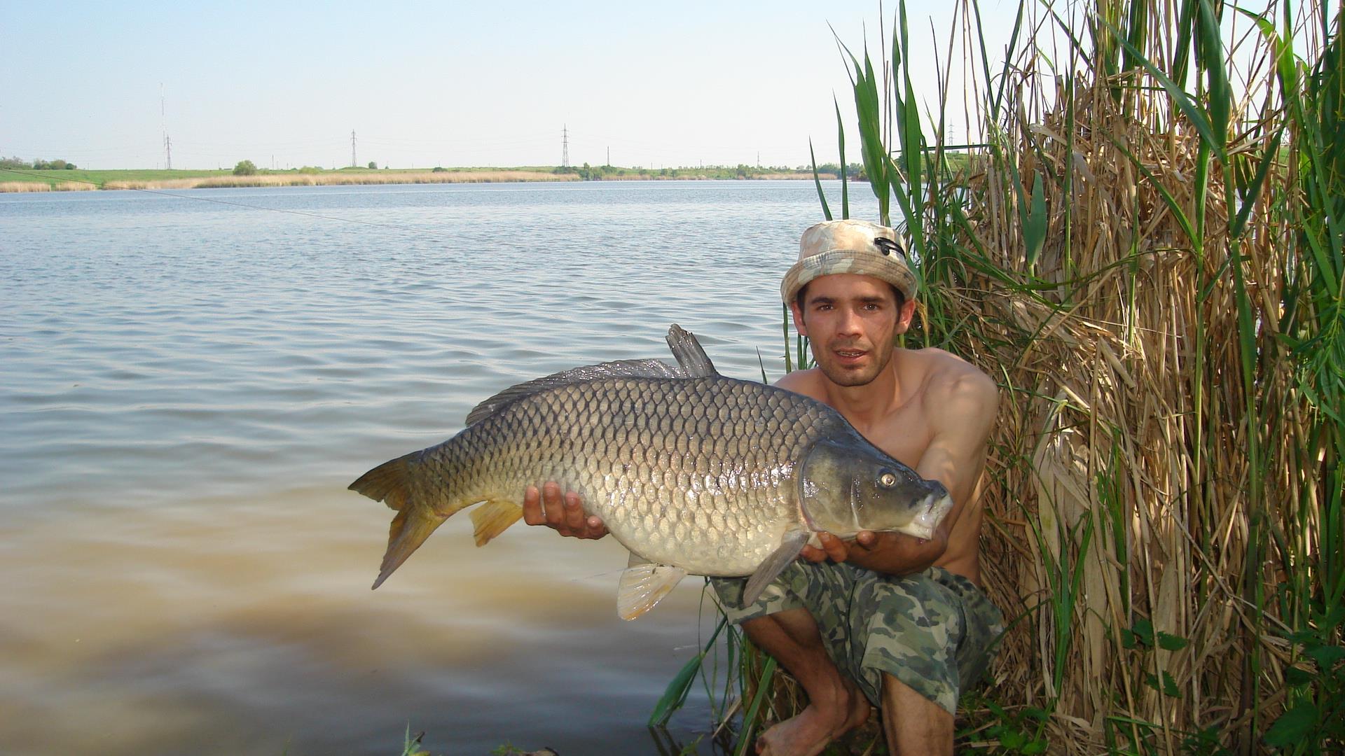 Tâncăbeşti  - dsc03332.JPG